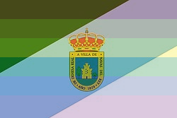 Bandera de Navas del Rey