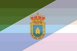 Bandera de Navas del Rey